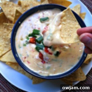 Irresistible Queso Blanco Dip 5 Queso Blanco Dip recipe