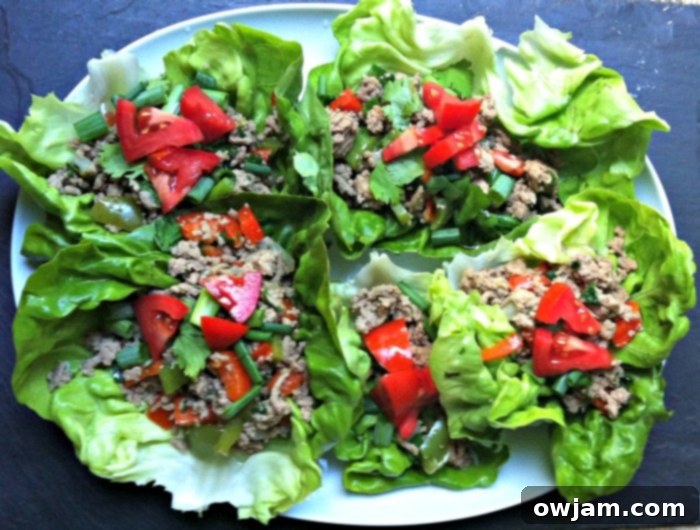 Thai Turkey Lettuce Wraps recipe