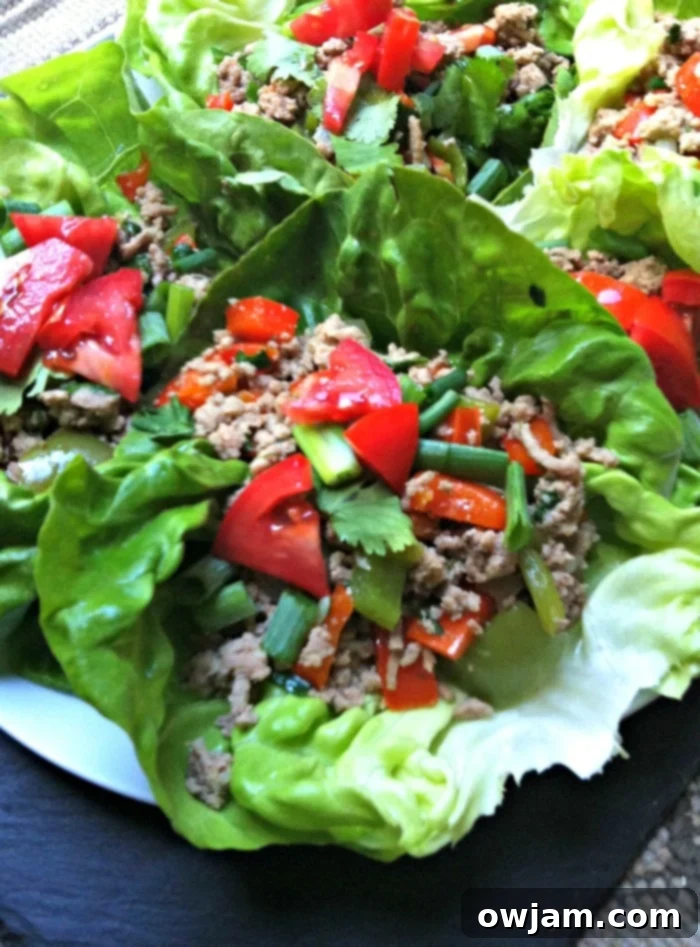 healthy Thai Turkey Lettuce Wraps