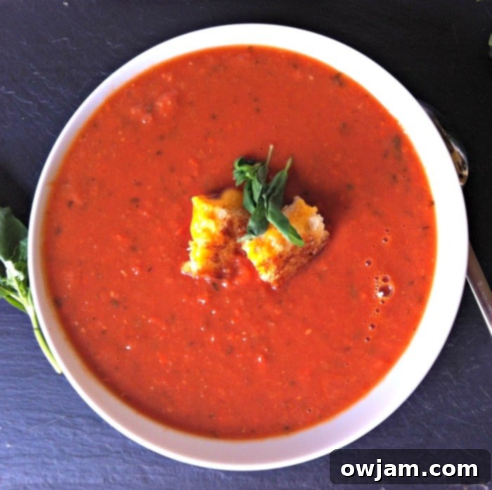 A steaming bowl of comforting Tomato White Bean Soup, garnished with fresh basil