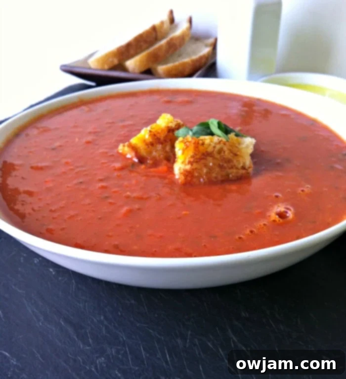 Close-up of a bowl of Tomato White Bean Soup recipe, showing its creamy texture and fresh basil garnish