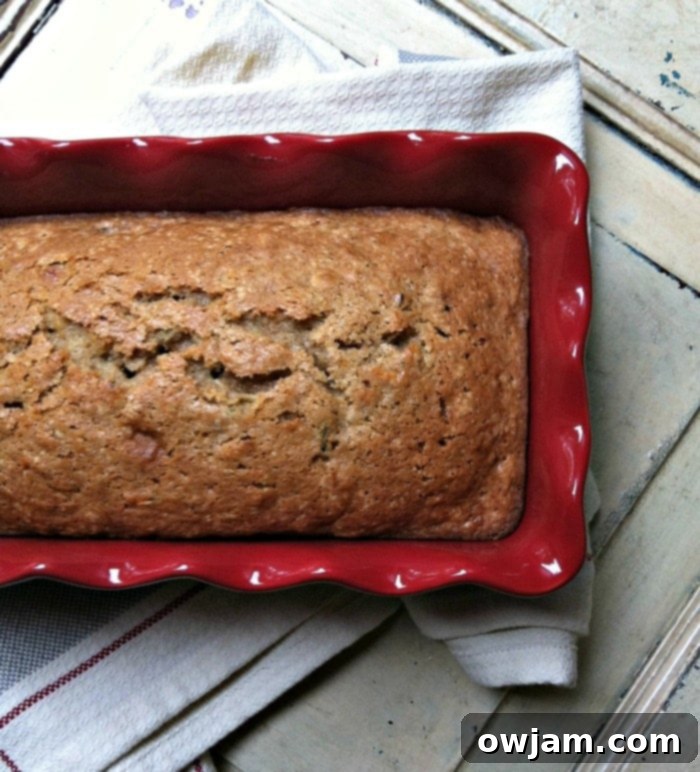 Zucchinin Applesauce Bread recipe from A Cedar Spoon