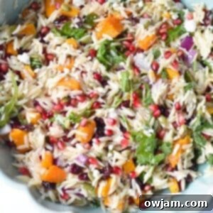 Fall Orzo Pasta Salad 1200 x 1200