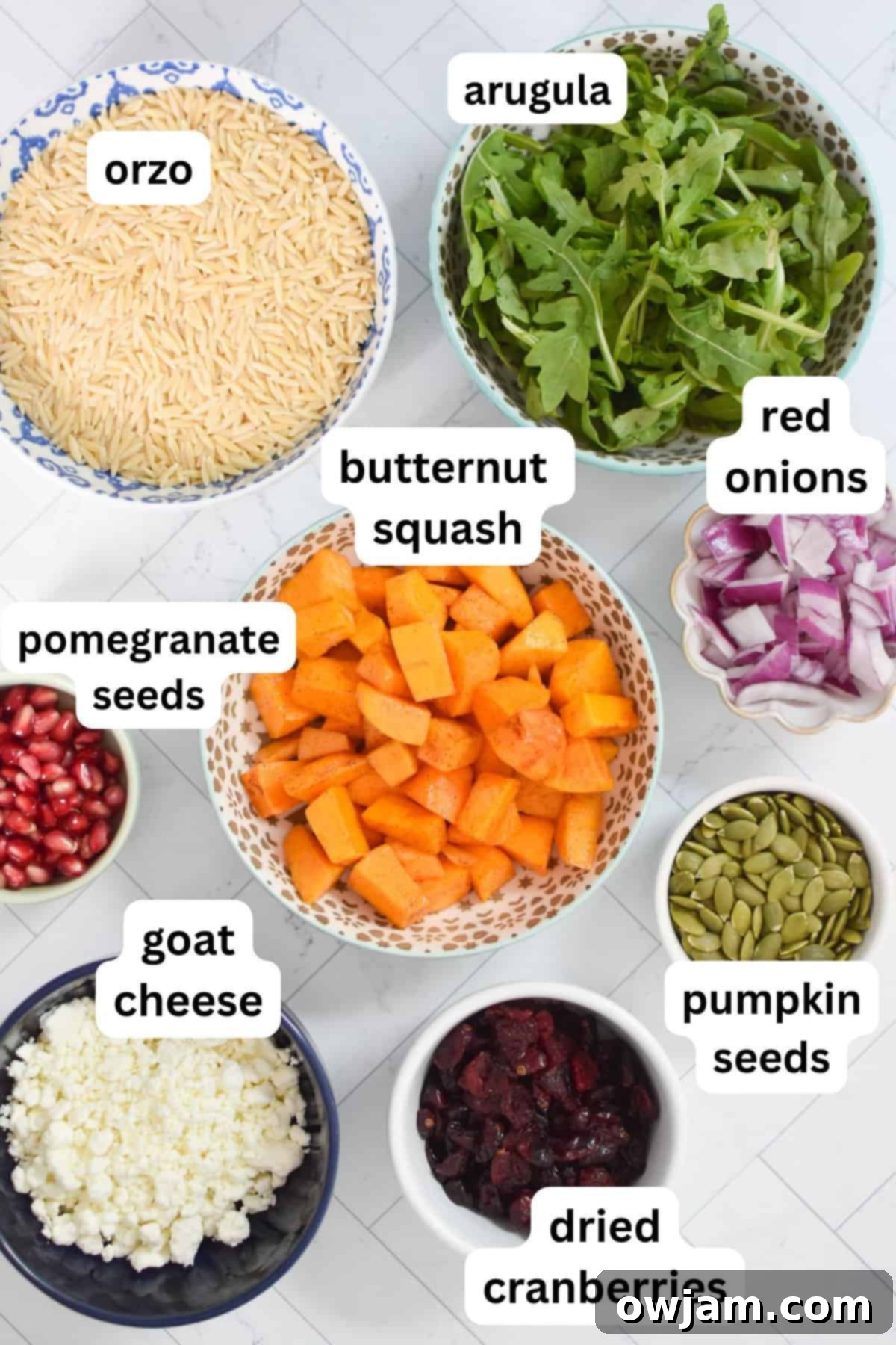 Fall Orzo Pasta Salad recipe ingredients