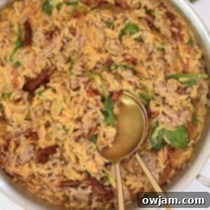 Close-up of One Pot Sausage Orzo in a bowl