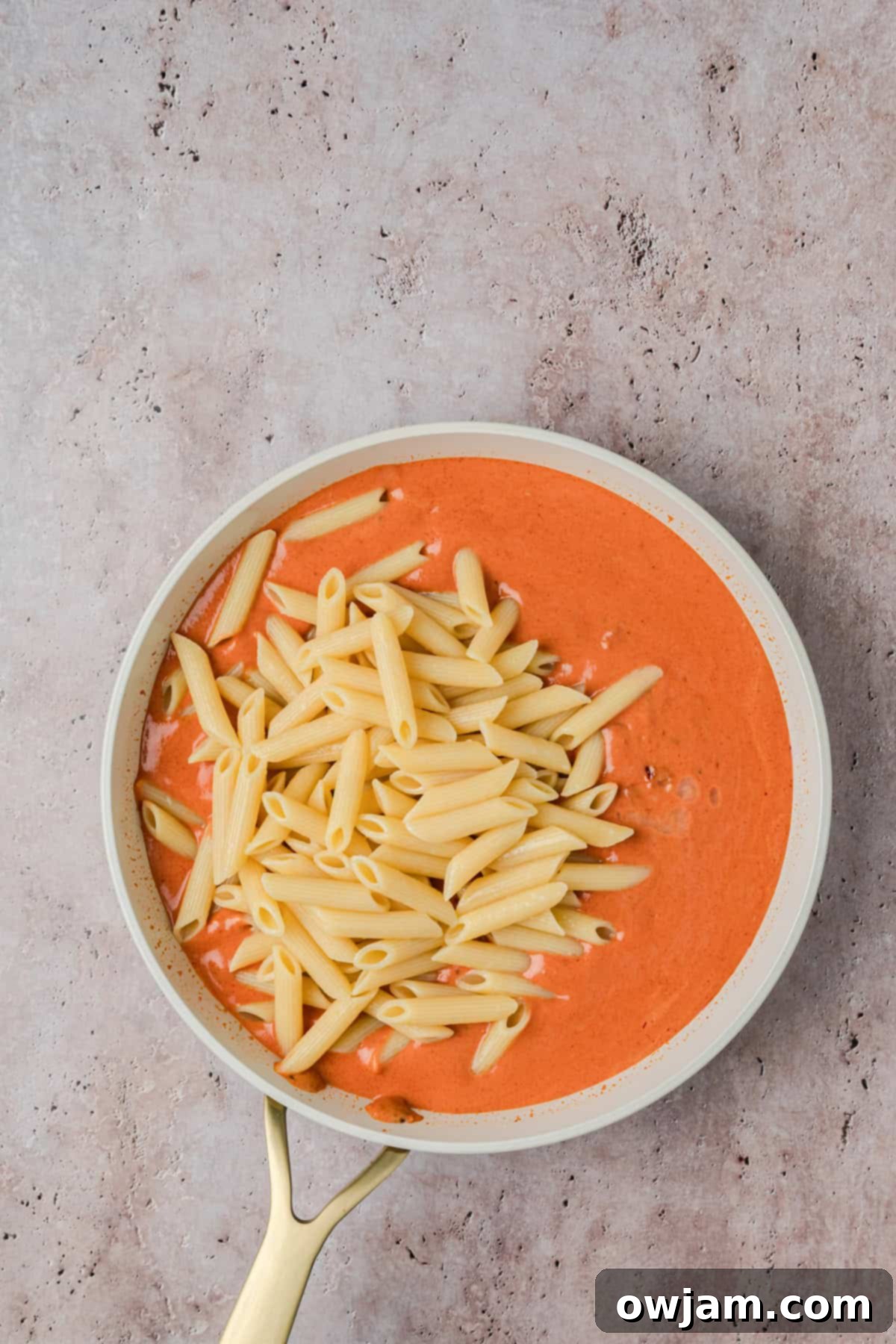 Creamy Tomato Chicken Pasta Perfection 9 Creamy Tomato Pasta with Chicken