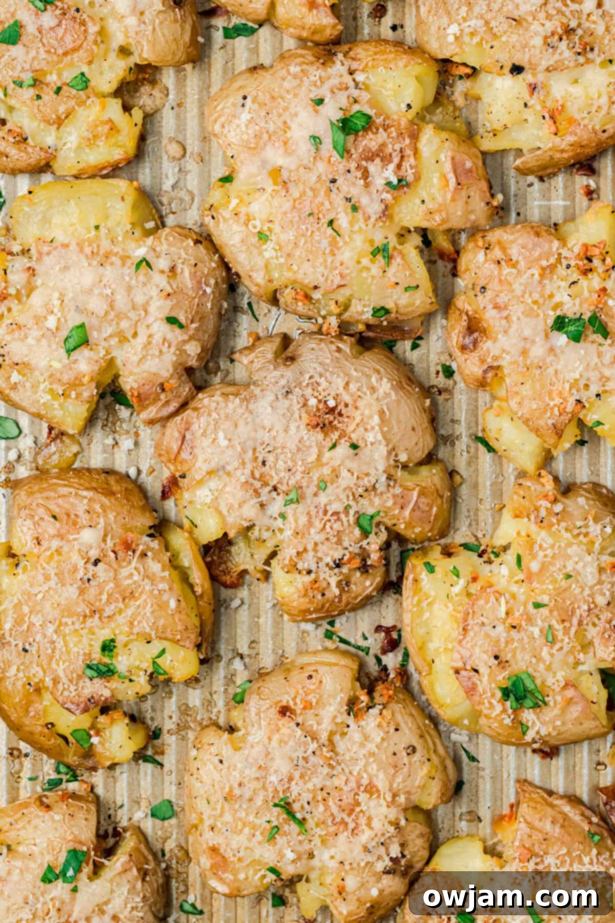 Garlic Parmesan Smashed Potatoes 9 Parmesan crusted smashed potatoes