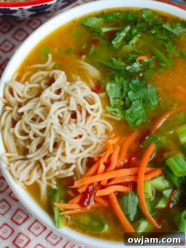 Asian Chicken Noodle Soup